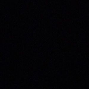 Meet your Posher, Ricardo